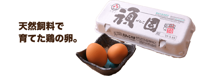 天然飼料で育てた鶏の卵。